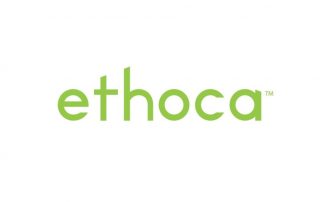 Ethoca Chargeback Alerts - Useful Guide