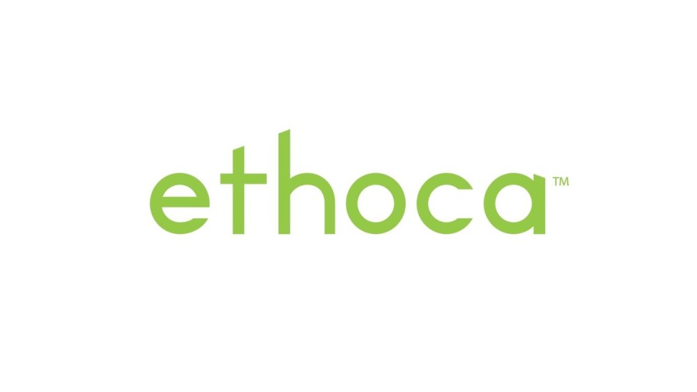 Ethoca Chargeback Alerts - Useful Guide