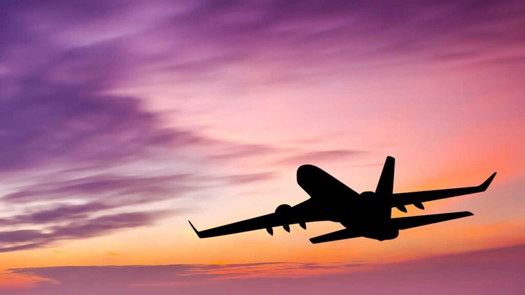 Airline and Travel Industry Fraud