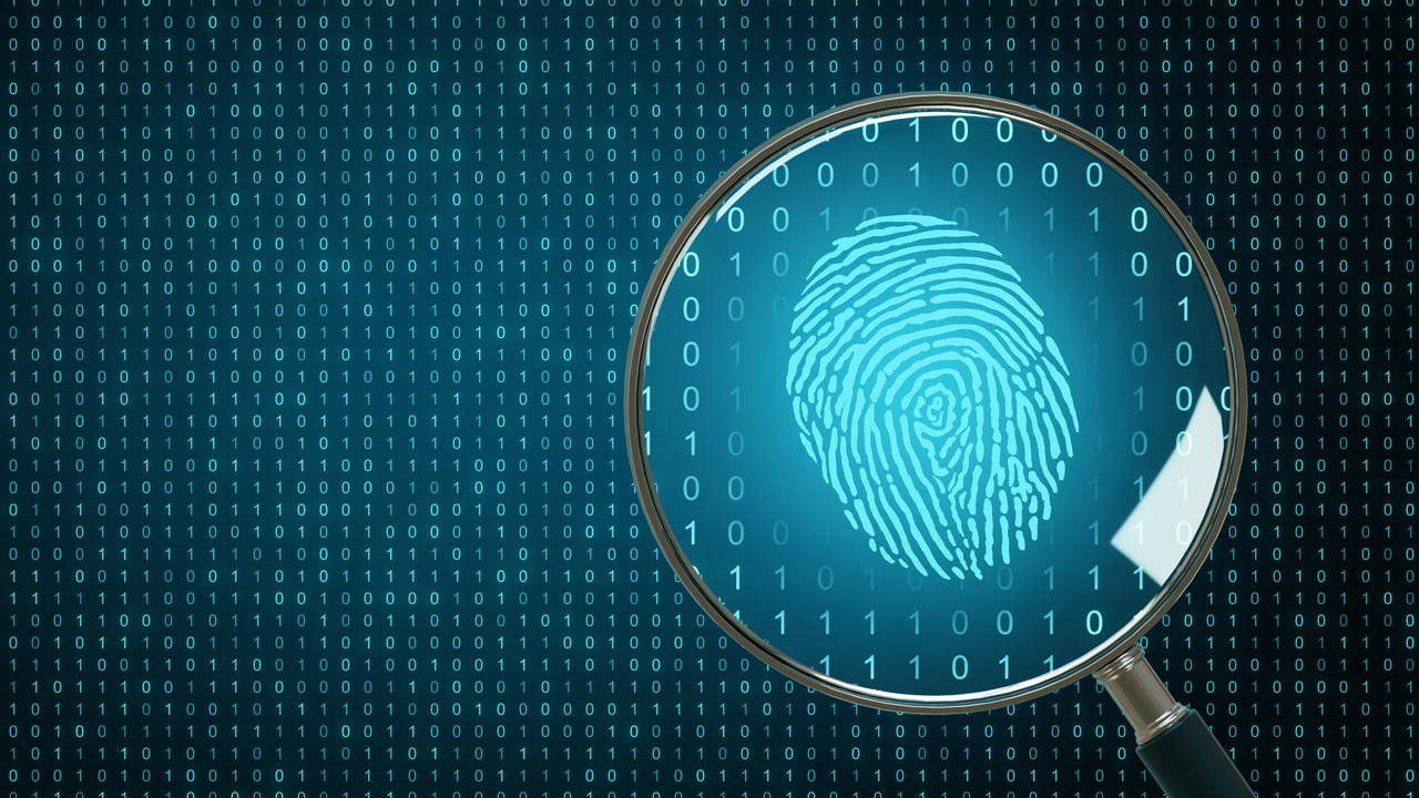 digital fingerprint, evidence