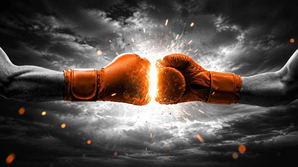 Fight Chargeback Fraud