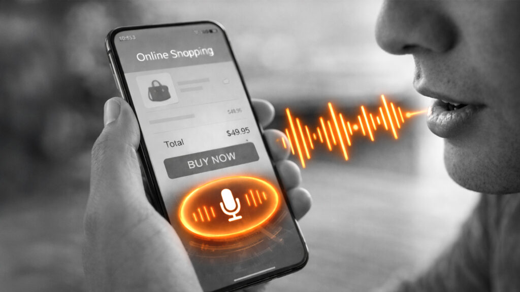 Voice Payments Chargebacks
